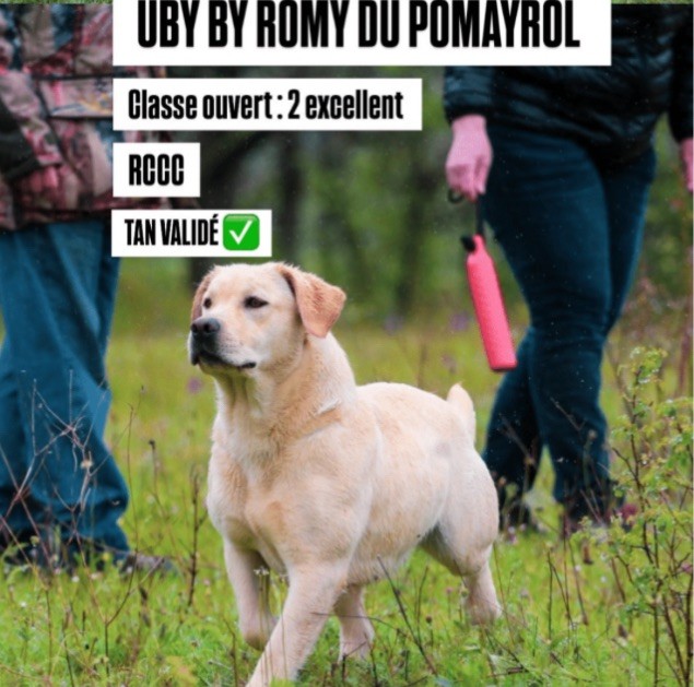 Uby by romy Du Pomayrol - TAN