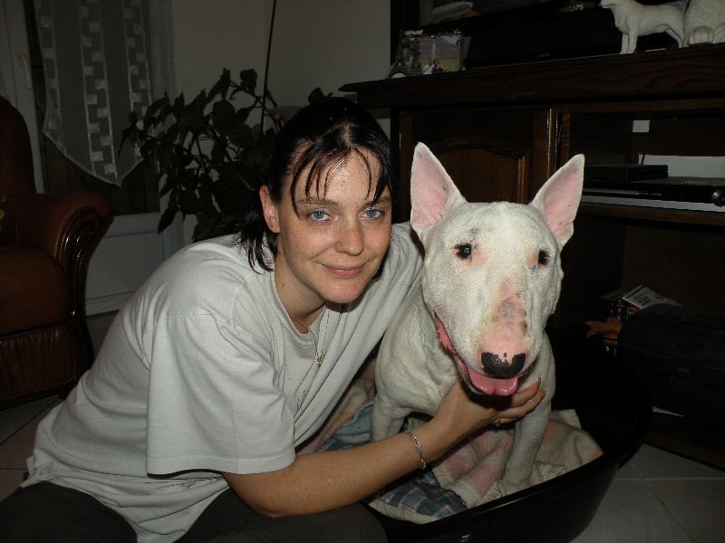 Publication : des Bulls de Champagne Auteur : ©Des Bulls de Champagne