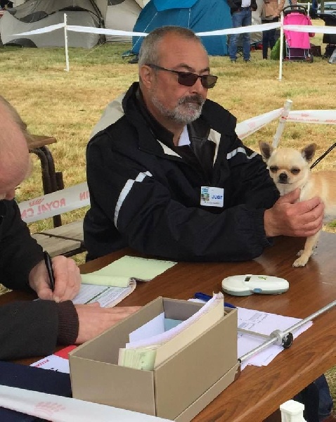 CH. philfort Axel thomas witsel - 1er exc - Classe Jeune - MEILLEUR JEUNE