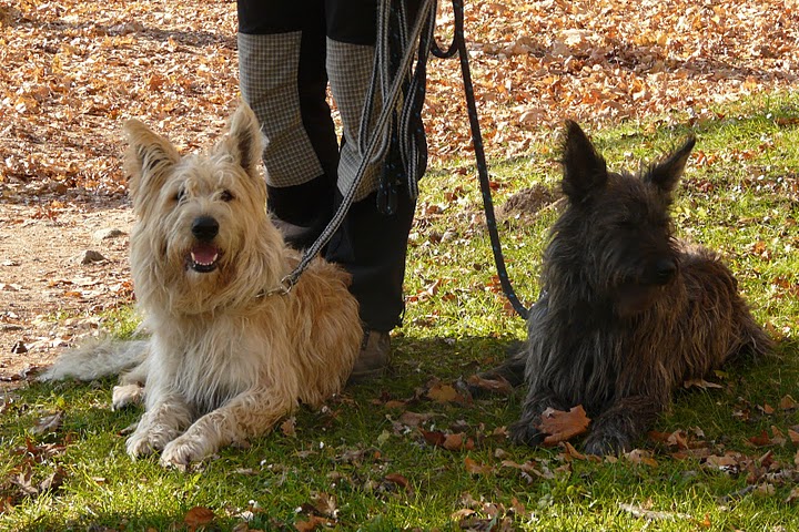 Publication : Eltanin Auteur : Jana N.