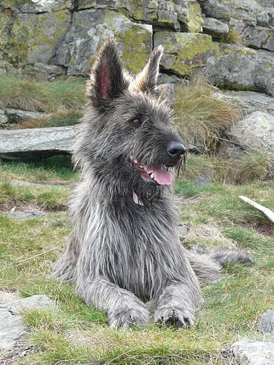 Publication : Eltanin Auteur : Jana N.