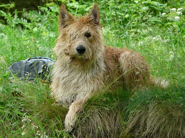 Publication : Eltanin