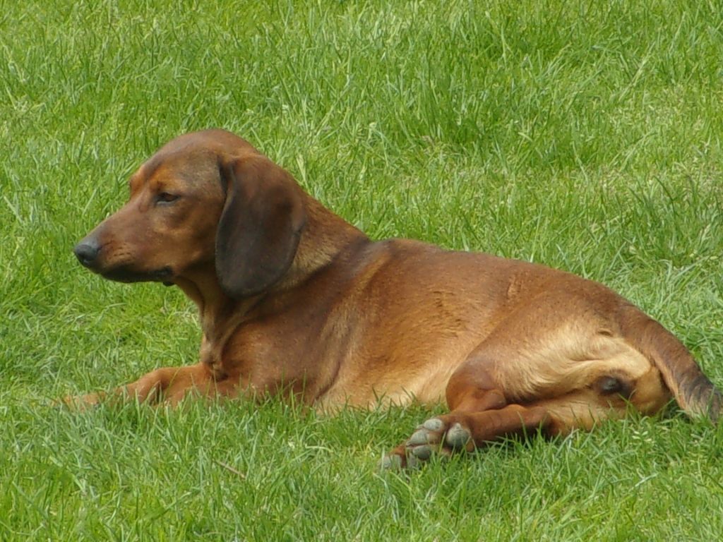 Publication : de la Vallée du Bois Bray