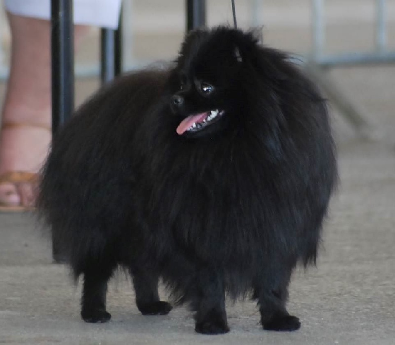 Publication : Des Hauts De Montlas Auteur : Sylvie Angles