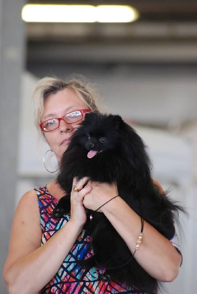 Publication : Des Hauts De Montlas Auteur : Sylvie Angles