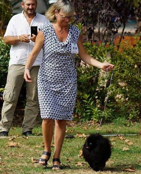 CH. dilina royal English muffin - 1 er exc CACS Meilleur de race