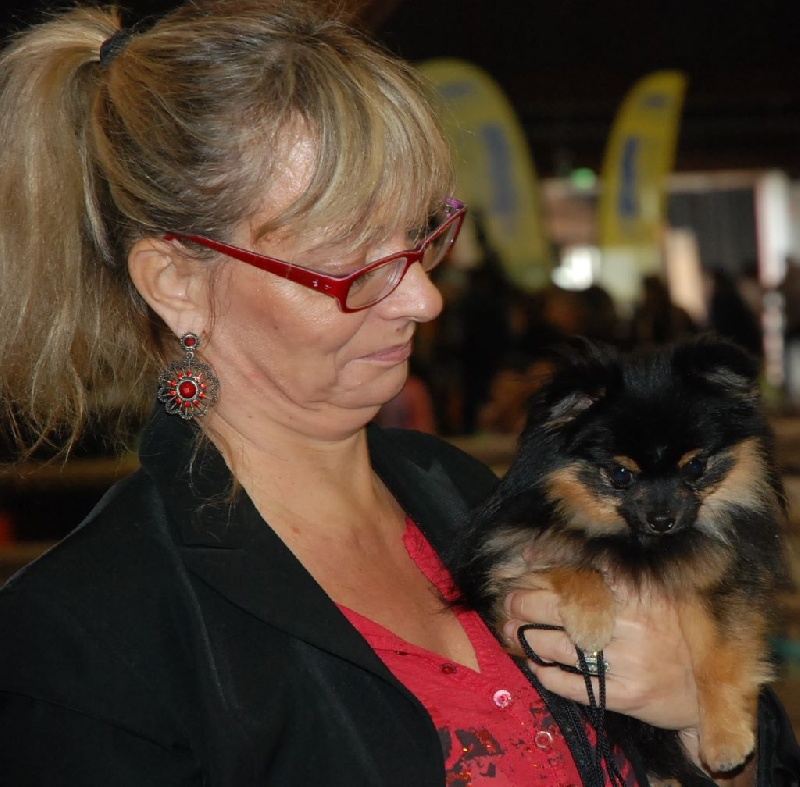 Isis de la taniére des louveteaux - 3ème Excellent en classe jeune