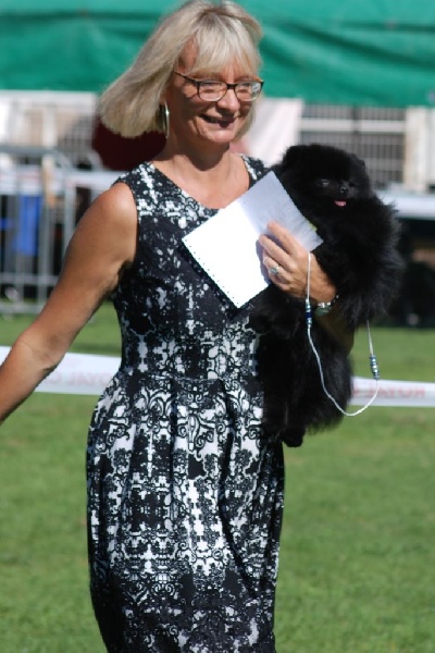 CH. dilina royal English muffin - 1 er exc Meileur Jeune