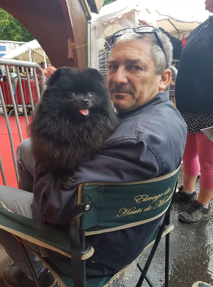 Jch némésis Des Hauts De Montlas - 1 er exc CACS/CACIB BOB