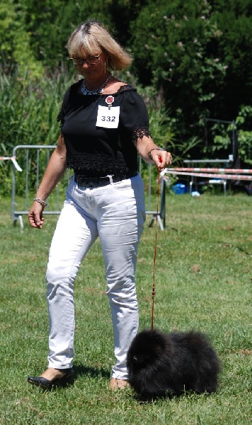 CH. dilina royal English muffin - 1ER Exc Meilleur de race jeune