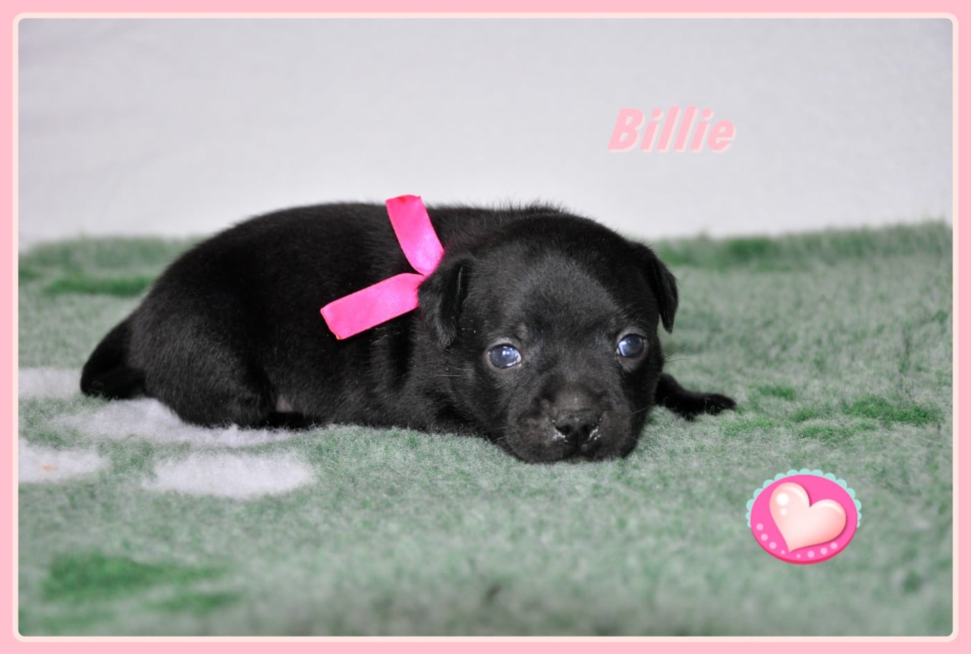 Billie