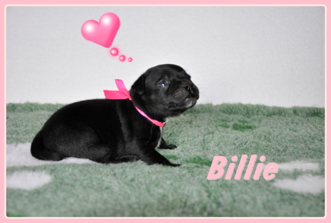 Billie