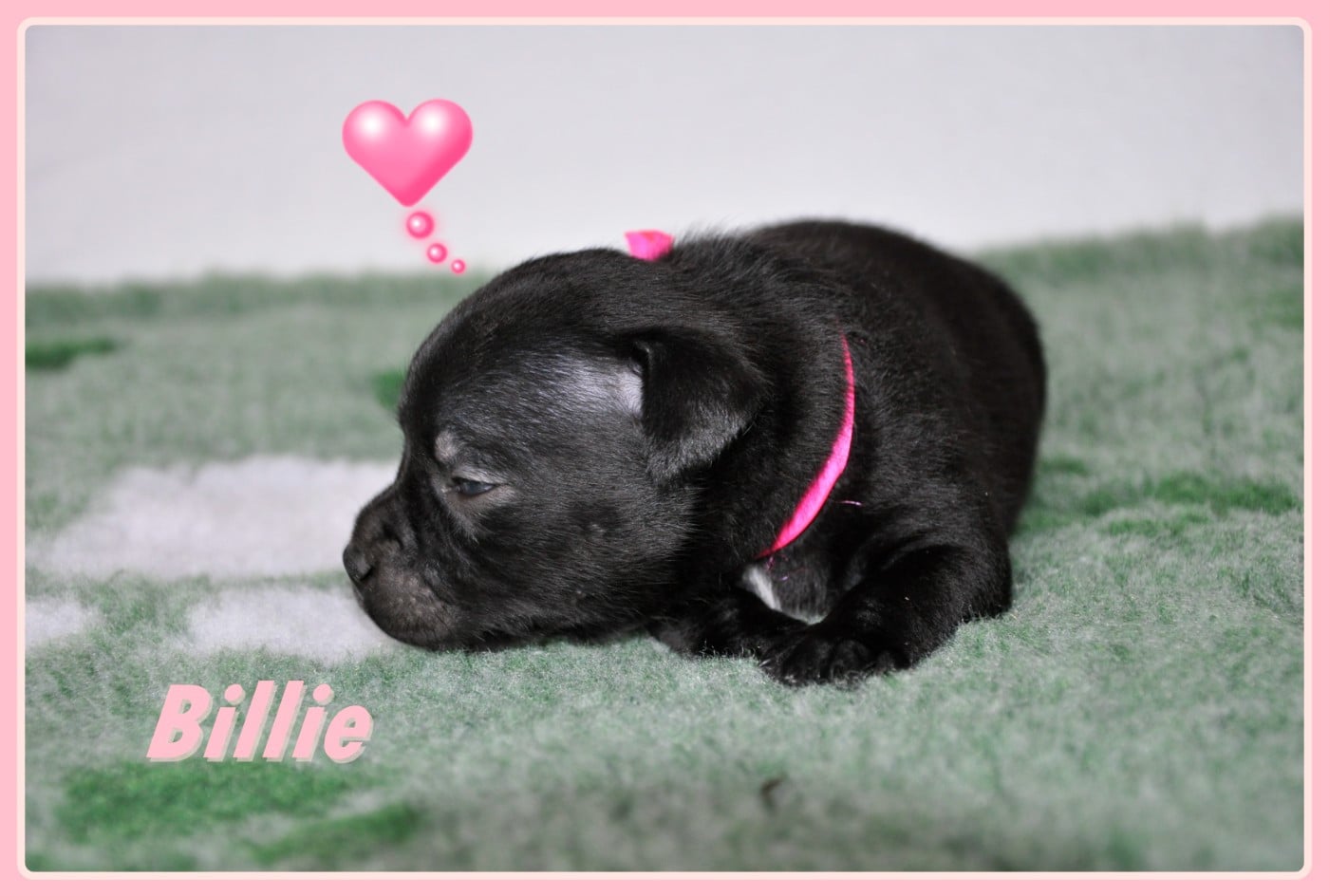 Billie