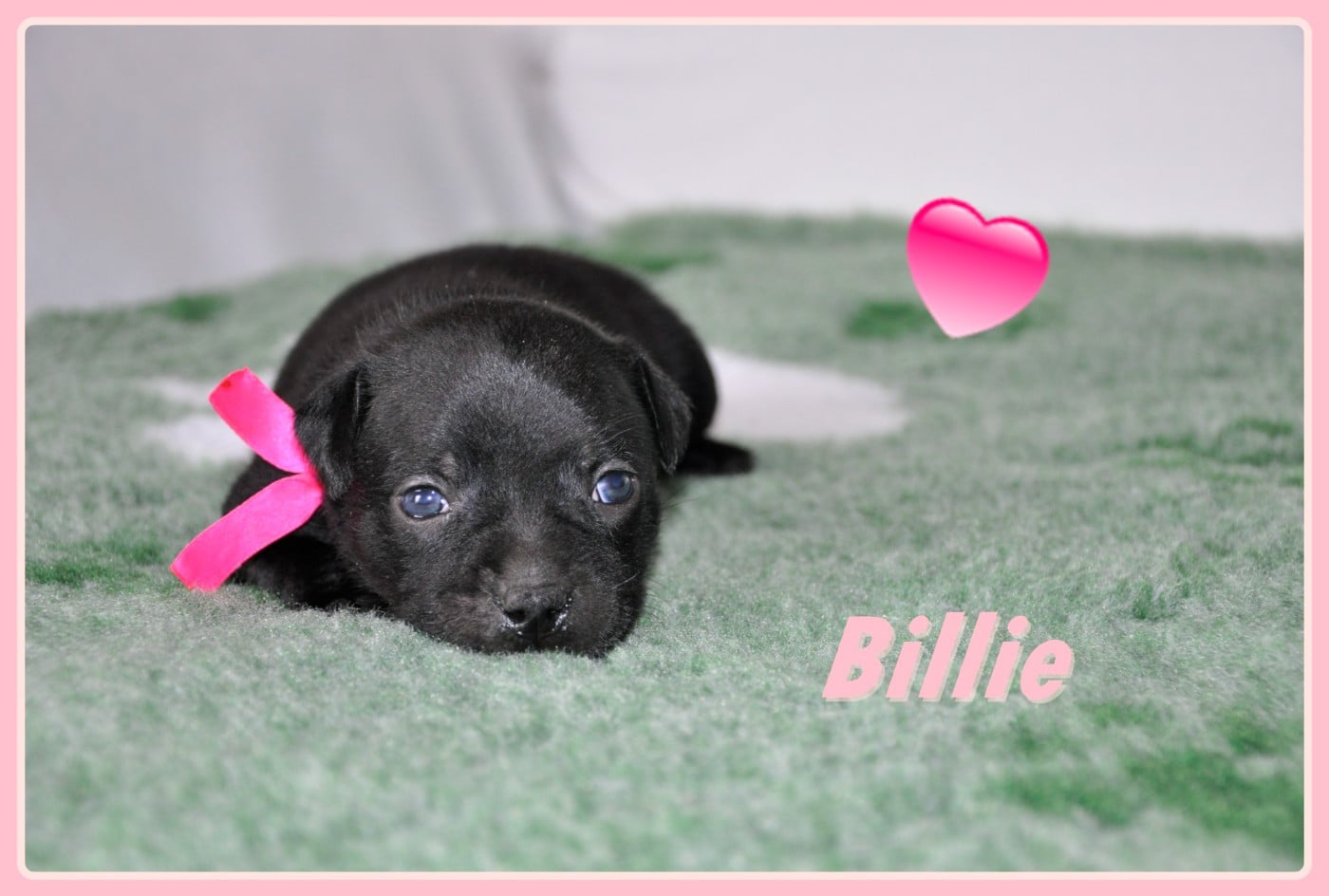 Billie