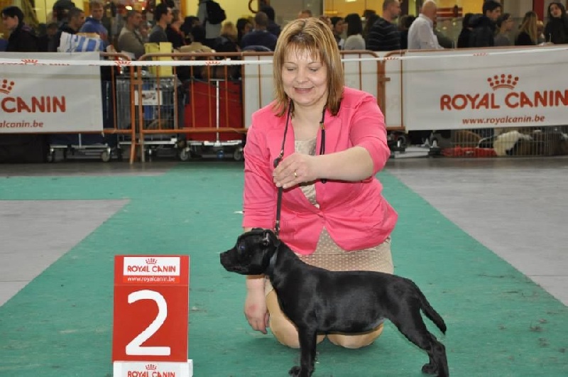 In god we trust Von damon der dunkelkraft - 2 TRES PROMETTEUR (sur 6 femelles) - classe bebe