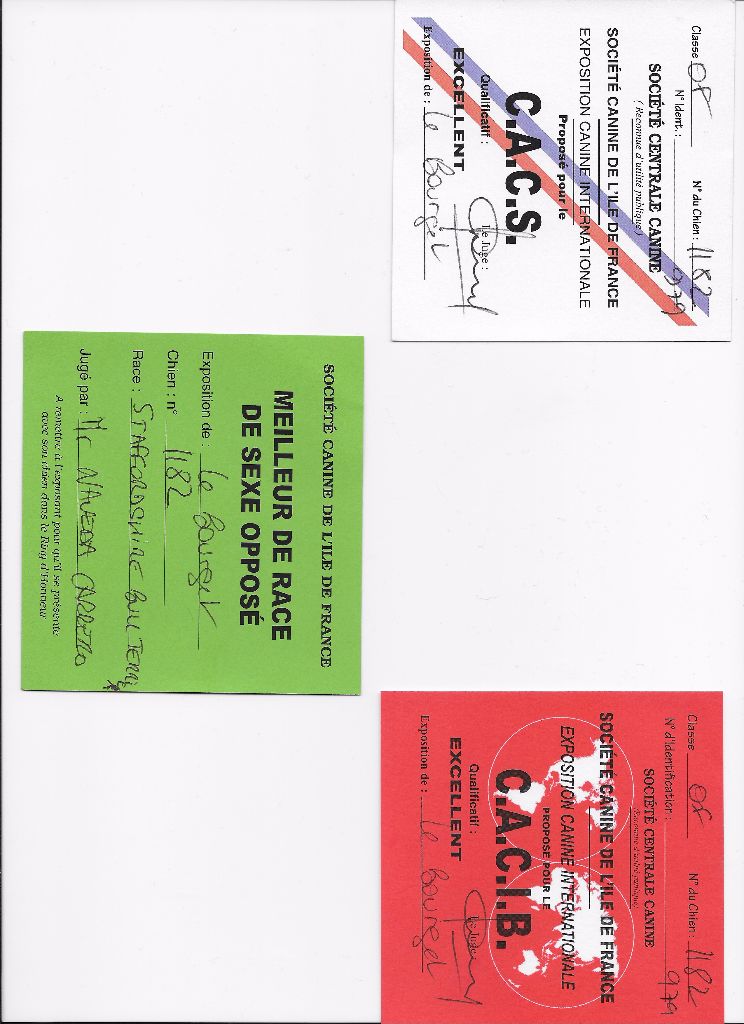 In god we trust Von damon der dunkelkraft - 1 excellent, CAC,CACIB et Meilleur Sexe Oppose (BOS) !!!