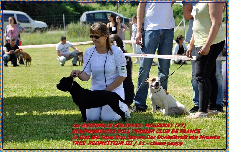 In god we trust Von damon der dunkelkraft - TRES PROMETTEUR III / 11 - classe puppy