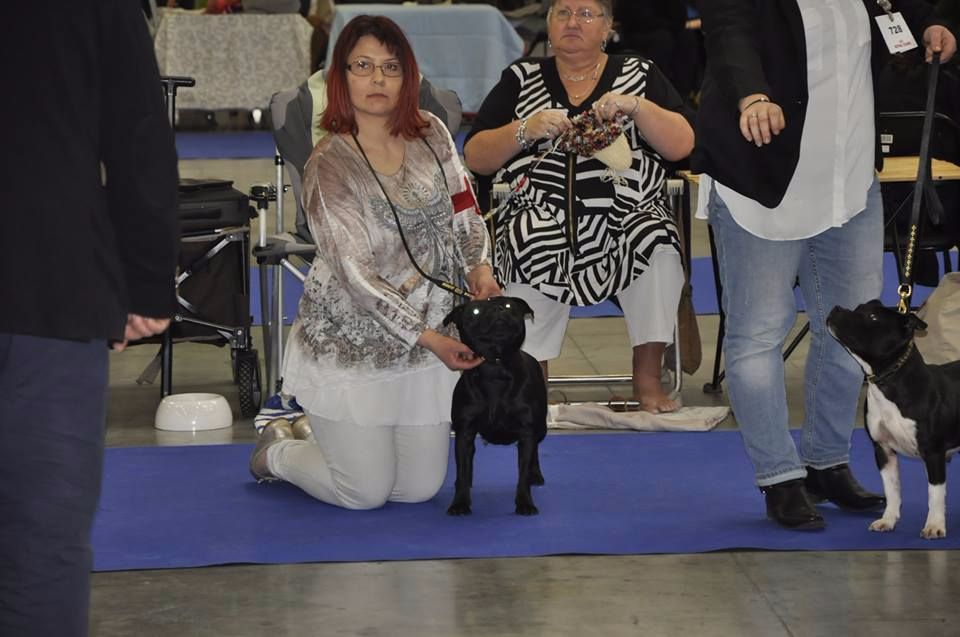 In god we trust Von damon der dunkelkraft - 2 excellent