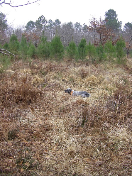 Publication : Du Domaine De Nath Auteur : mr sandy louy