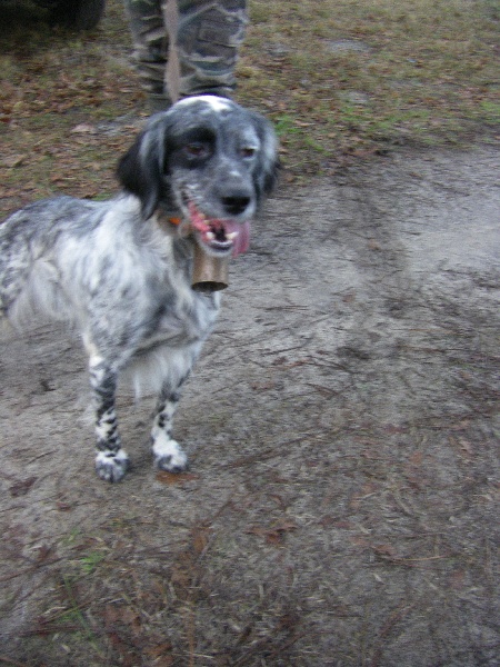 Publication : Du Domaine De Nath Auteur : mr sandy louy