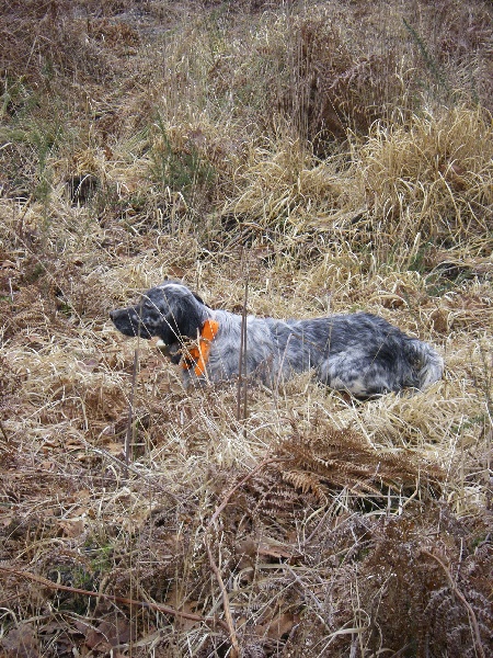 Publication : Du Domaine De Nath Auteur : mr sandy louy