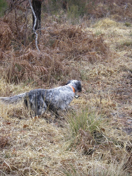 Publication : Du Domaine De Nath Auteur : mr sandy louy