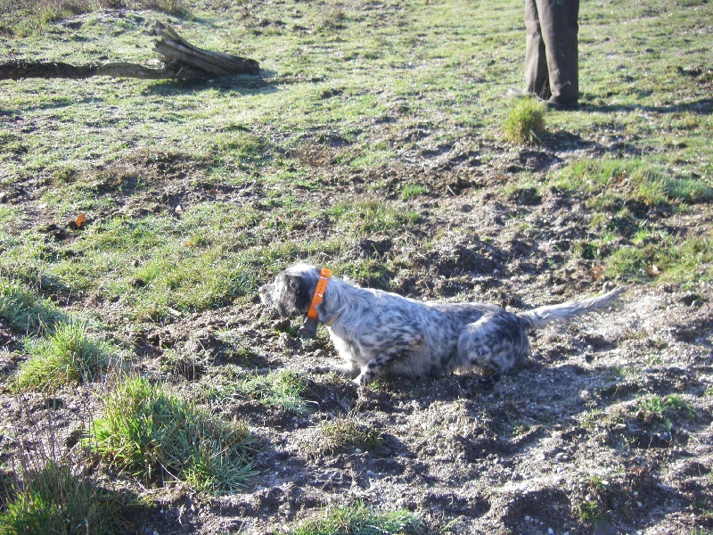 Publication : Du Domaine De Nath Auteur : mr sandy louy