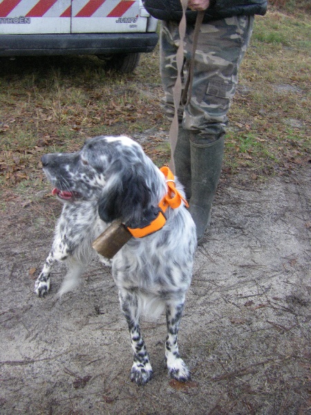 Publication : Du Domaine De Nath Auteur : mr sandy louy