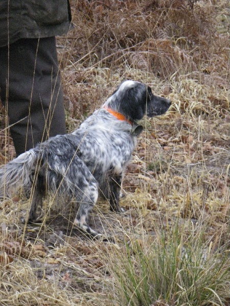 Publication : Du Domaine De Nath Auteur : mr sandy louy