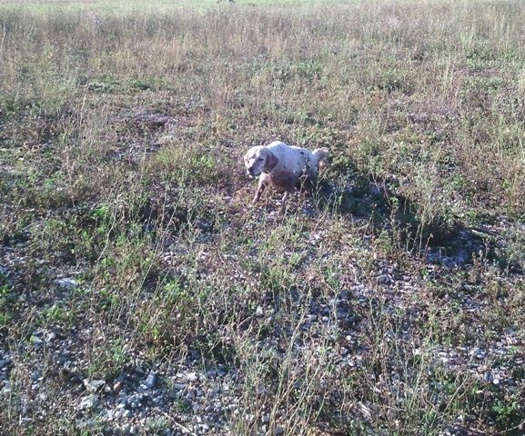 Publication : Des Berges De La Lergue Auteur : CONGRAS Geraldine