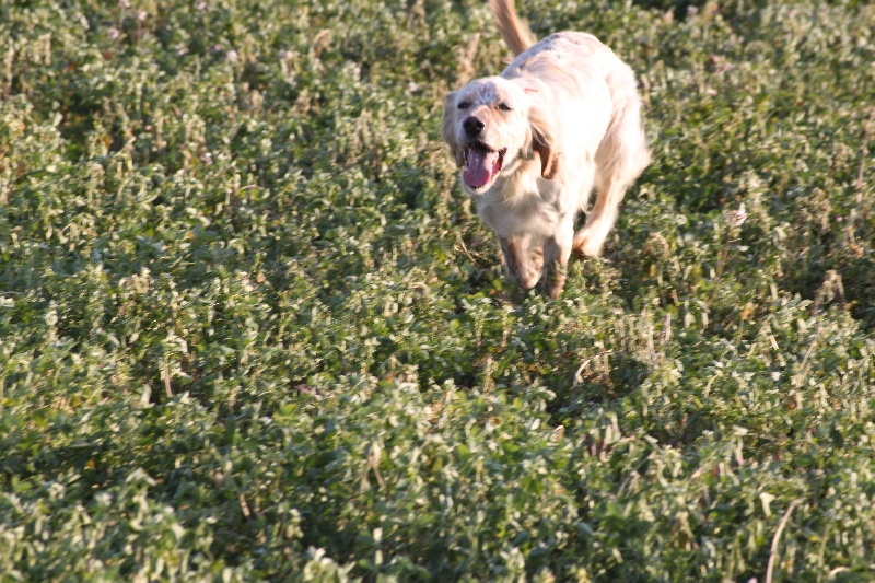 Publication : Des Berges De La Lergue Auteur : CONGRAS Geraldine