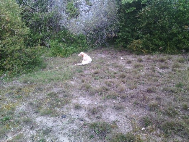 Publication : Des Berges De La Lergue Auteur : CONGRAS Geraldine