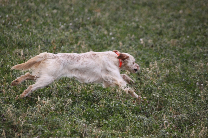 Publication : Des Berges De La Lergue Auteur : CONGRAS Geraldine