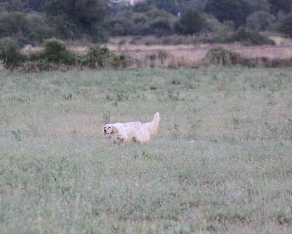 Publication : Des Berges De La Lergue Auteur : CONGRAS Geraldine