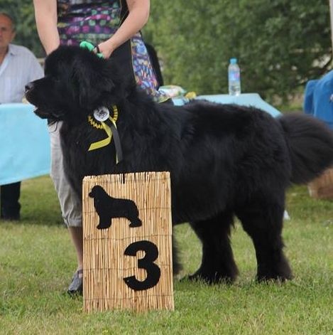 Hector le herscheur Des Galibots Du Vent - COM : 3e TB