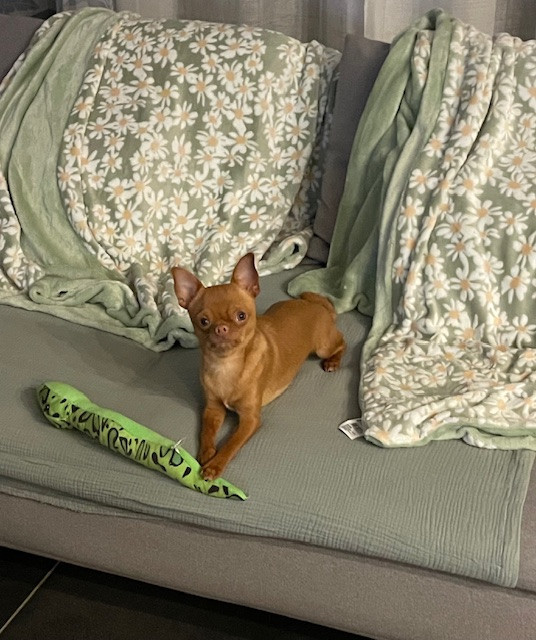 Publication : De La Garde D'eriador