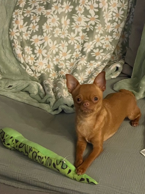 Publication : De La Garde D'eriador