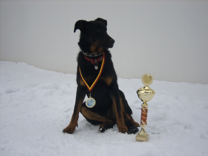 Effie du Rêve d'Hindia - GOLDEN GLOBE CHAMPION MEILLEUR JEUNE