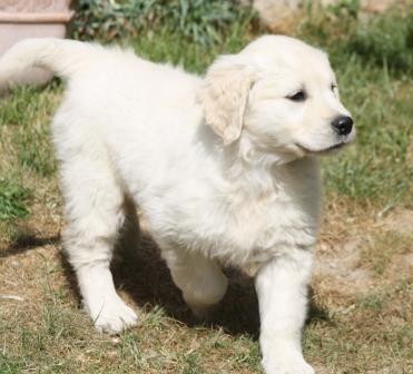 Publication : Feeldjy