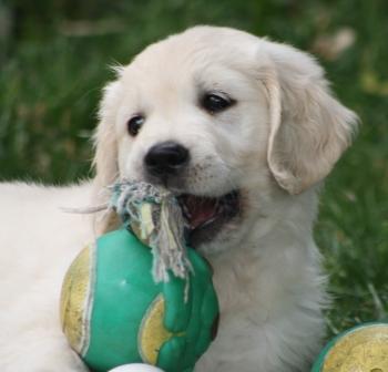 Publication : Feeldjy