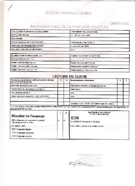 Publication : Feeldjy