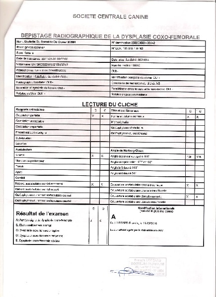 Publication : Feeldjy