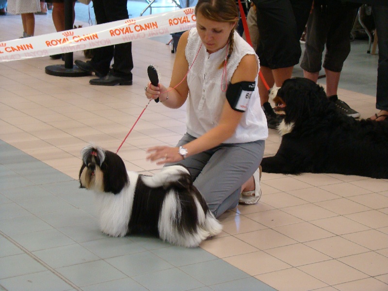 Publication : Of Majestyc Tibetain's