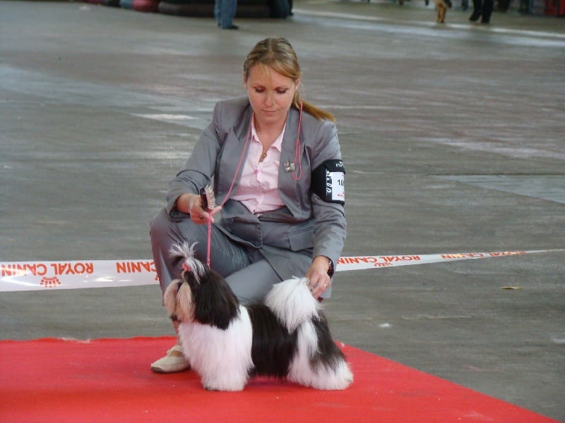 Félicie du jam's bob - 2 ème excellent