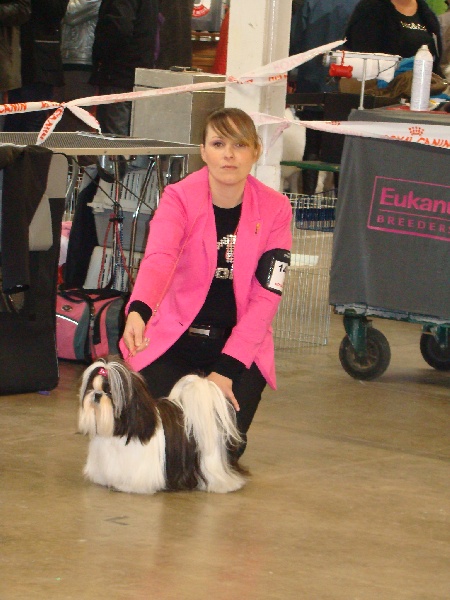 Félicie du jam's bob - 2 ème Excellent RCACS RCACIB