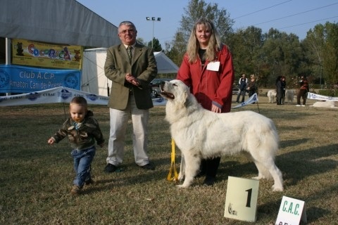 CH. Edelweiss blue Della Via Delle Gallie - 1° ECC CAC BOS (Classe Ouverte Femelle)