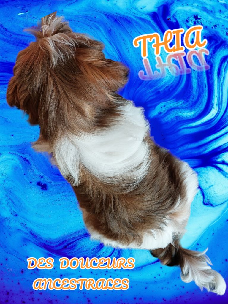 THIA DES DOUCEURS ANCESTRALES