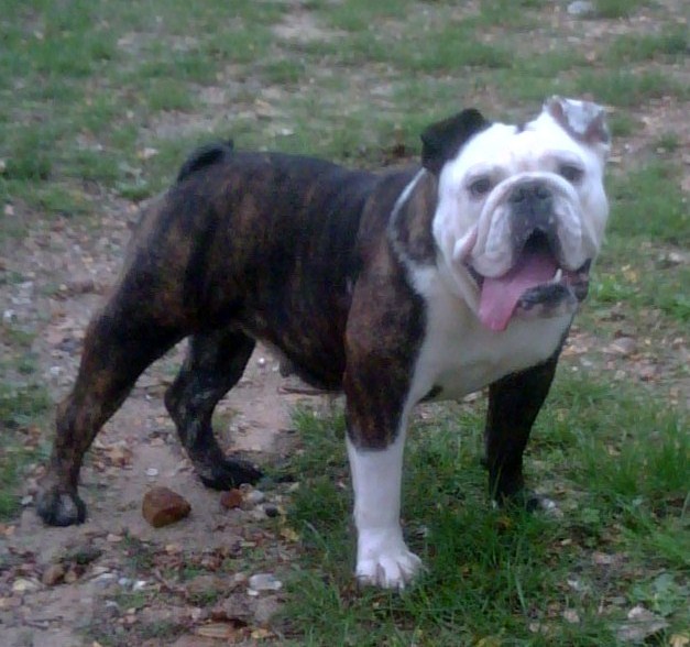 Publication : Of Shylyn Forever Auteur : SANDRA LEBOEUF