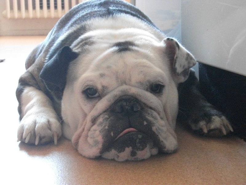 Publication : Of Shylyn Forever Auteur : SANDRA LEBOEUF