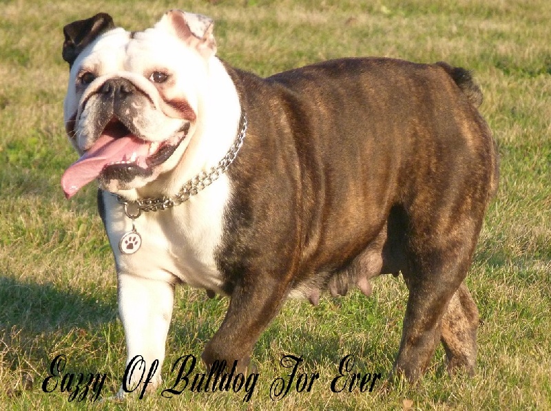 Publication : Of Shylyn Forever Auteur : SANDRA LEBOEUF